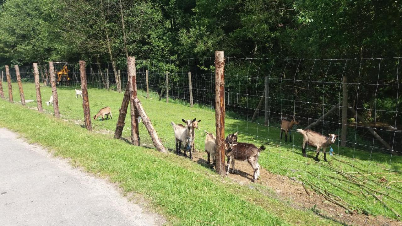 Agroturystyka,, Ranczo Kruszynki" Stronie Śląskie Eksteriør bilde